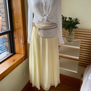 ARITZIA never worn skirt.